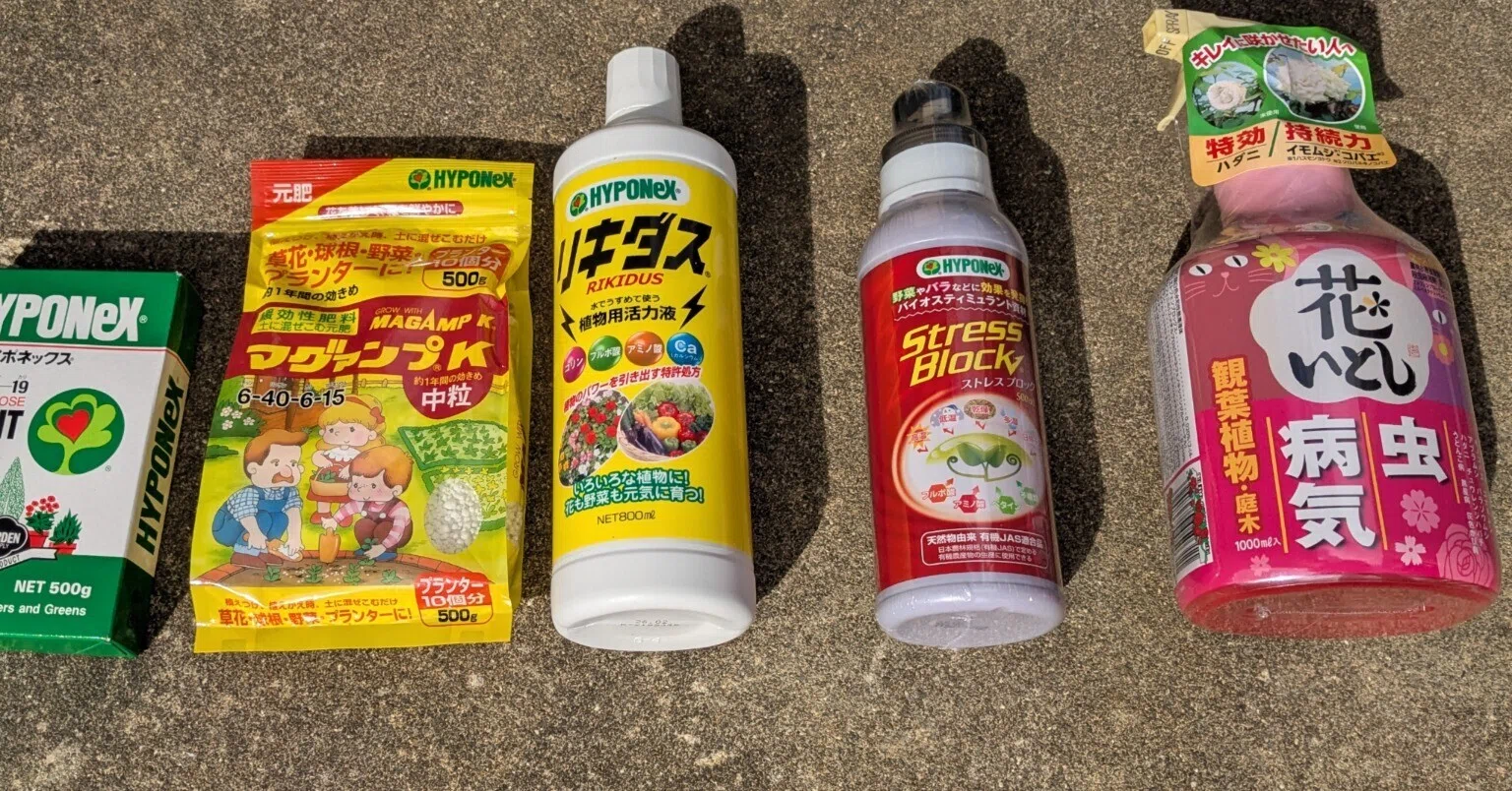 アガベのリカバリー】ストレスブロック リキダスでエールを注ぐ。植え