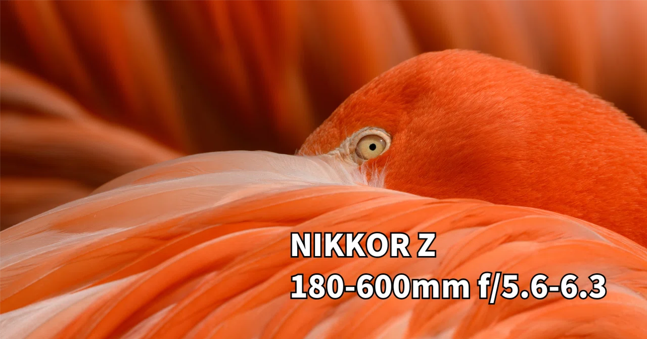 AXB生写真【12/6更新】 68 「自分らしい写真」を定義する｜NIKKOR Z 180-600mm f/5.6-6.3 VR