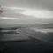 現場の果て｜鑑定人の記録