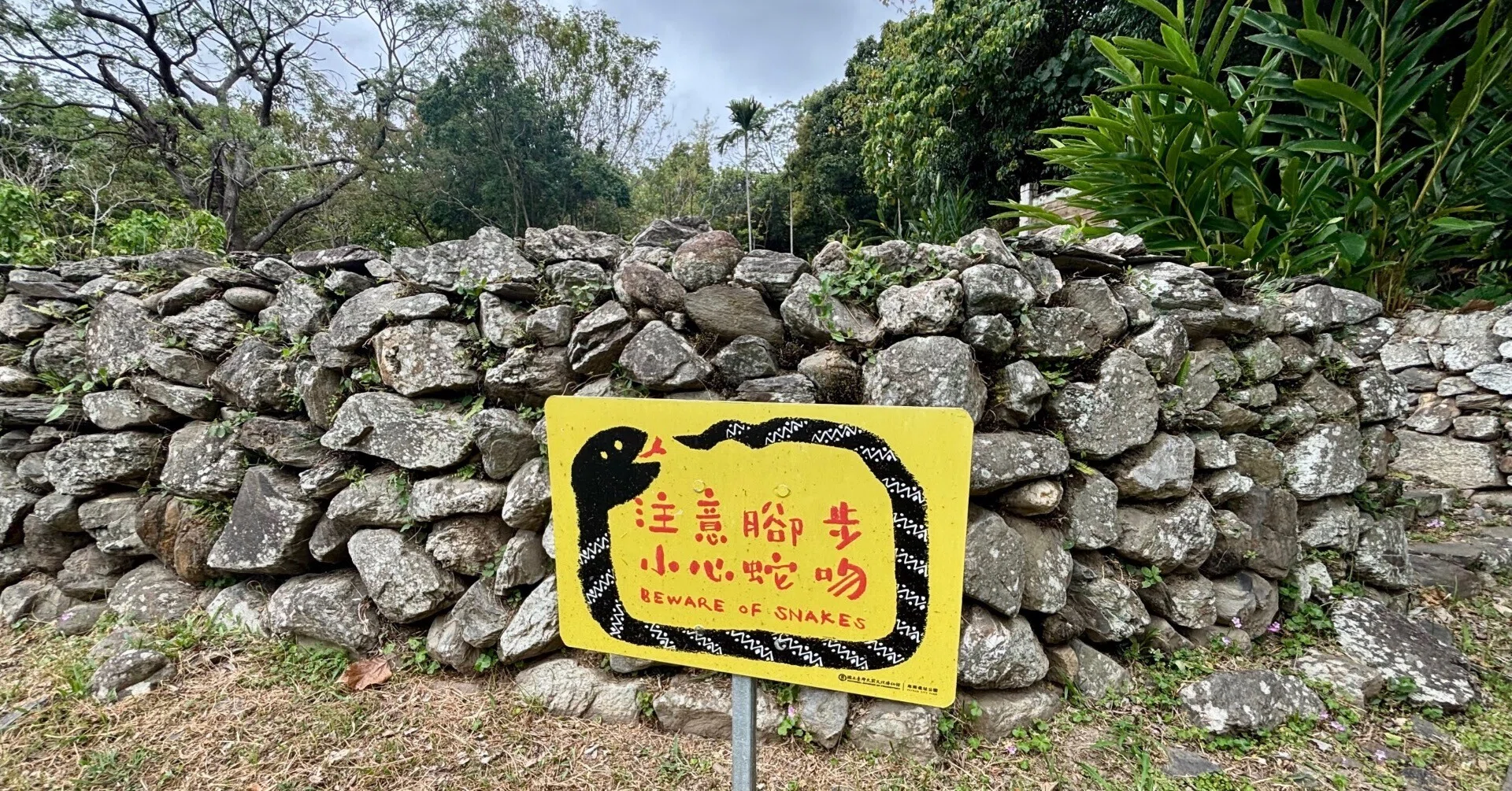 花粉避難からの台湾一周 45 緑に抱かれた遺跡を歩く 〜 台東、卑南遺跡
