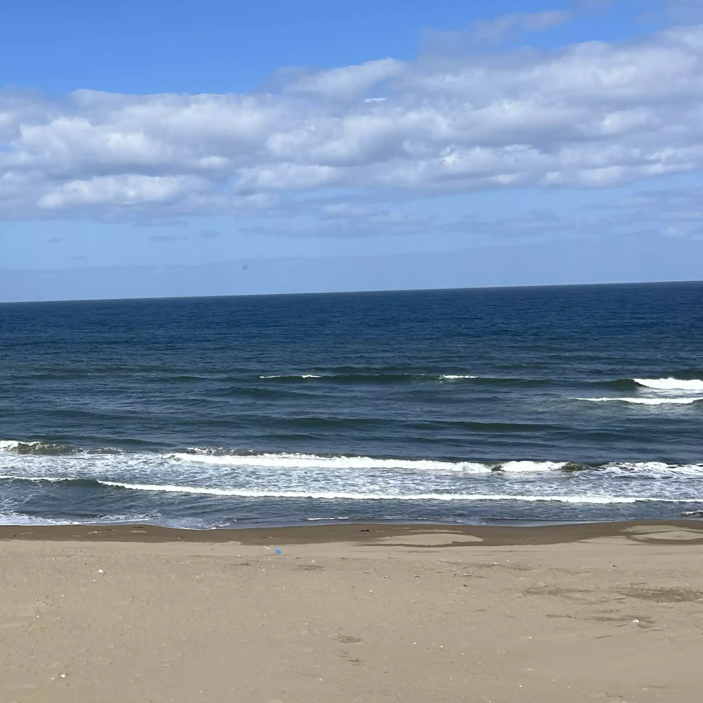 海岸線