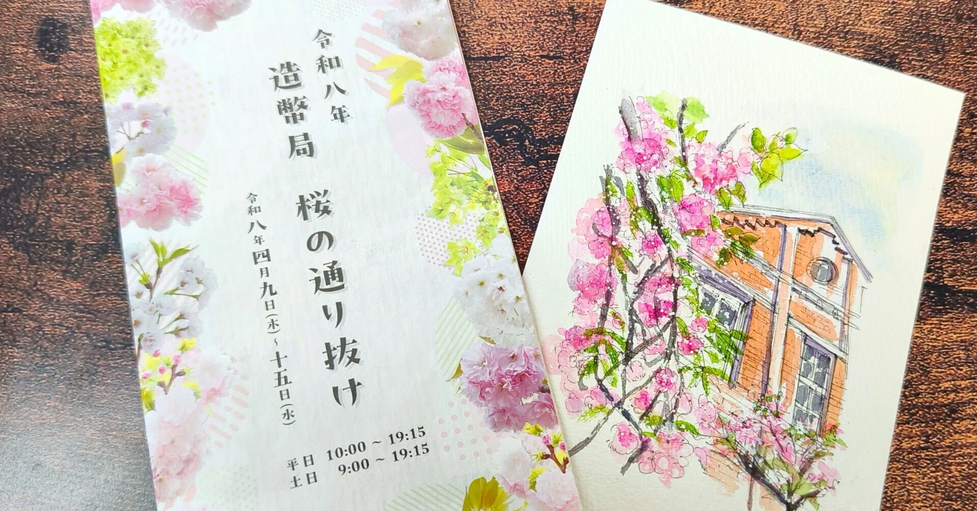 大阪造幣局桜の通り抜けに行ってきました！(透明水彩イラスト)｜kamo