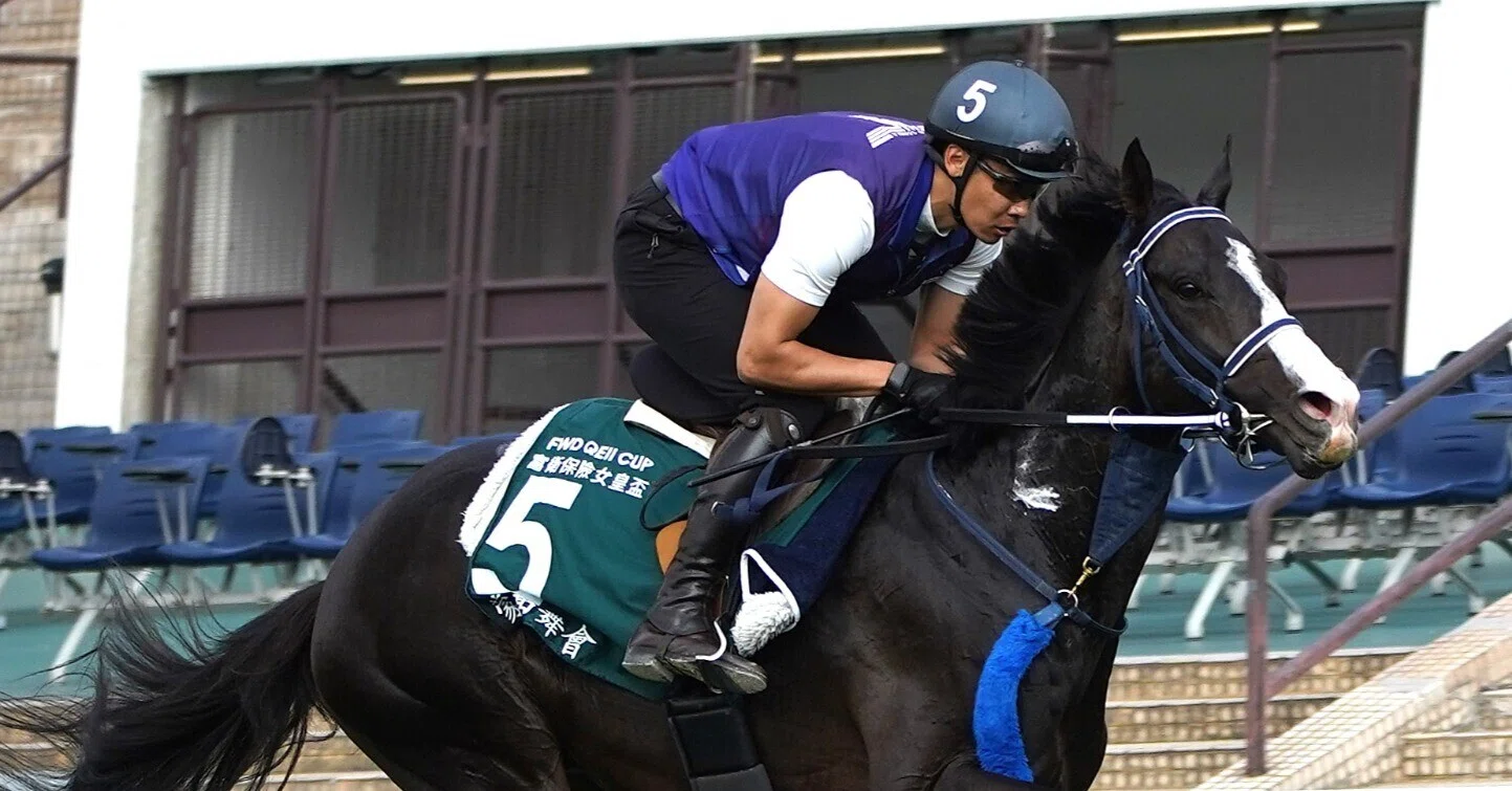 間もなくに迫った香港クイーンエリザベスⅡ世Cを占う｜平松さとし