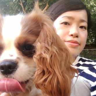 材料３つだけ レンジで簡単さつまいもプリン 犬のおやつ編 ちかぴん 無添加手作りドッグフード Note