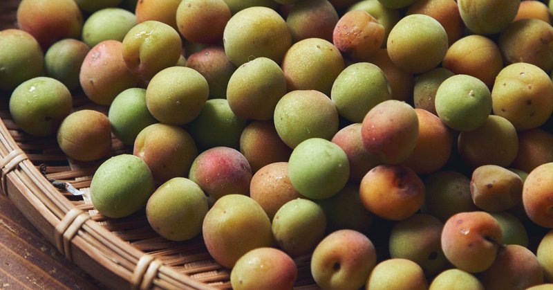 梅仕事を始めるあなたに 小梅を使って梅干しを作る方法 追い漬けの方法 今井真実 料理家 Note