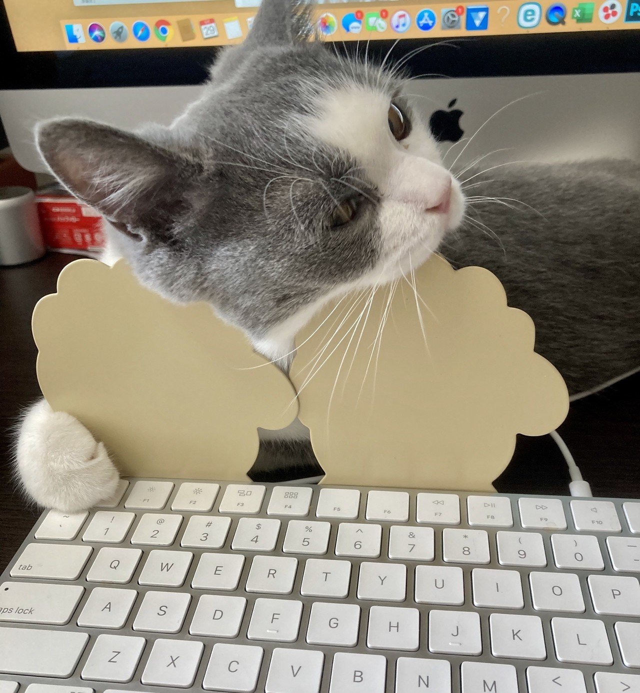 キーボードに乗る猫対策 ユウスケツルタ Note