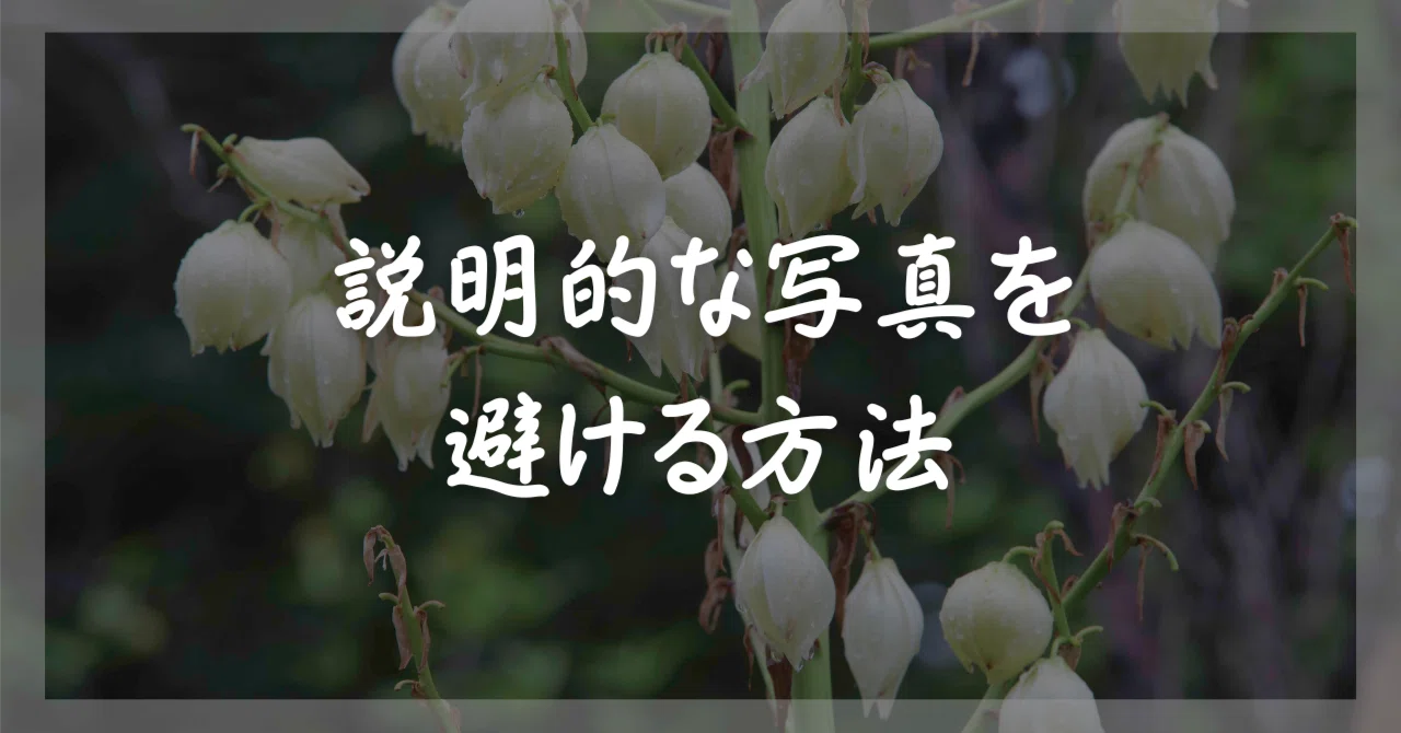 説明的な写真かどうかを撮る前に判断する一つの目安｜藤本祐嗣