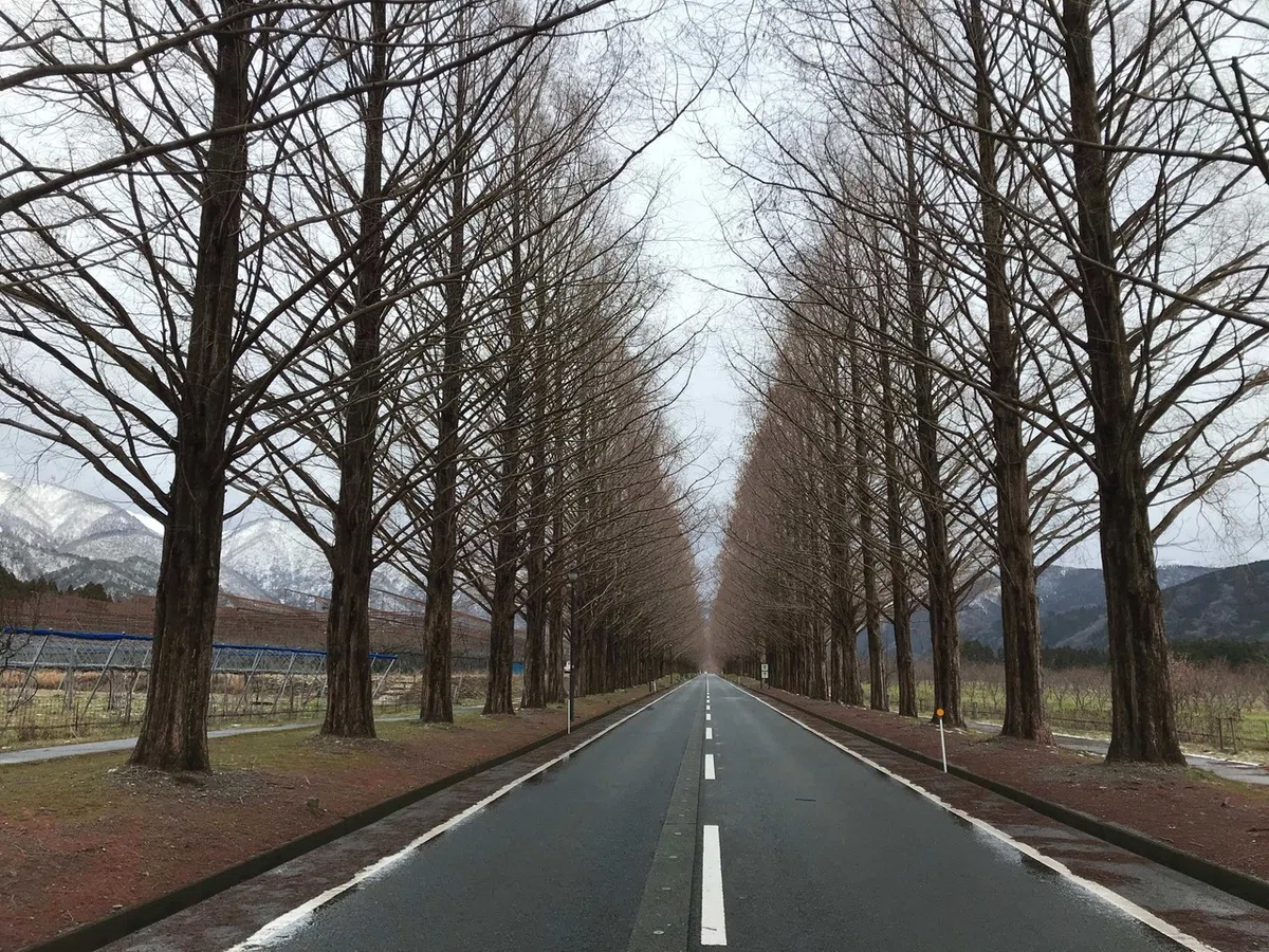 画像3