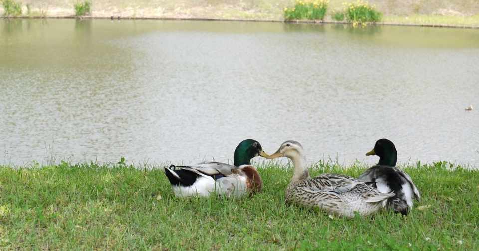 就職氷河期経験者からの採用担当 が語る不景気時代の就活 転職対策10選 久松 剛 Ligのくま Note