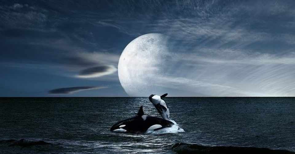 夢の中で夢を見る 透明なゆりかごの中で 天の川 色彩研究所 Note