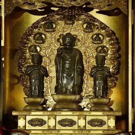 善光寺の紹介③ 善光寺如来編｜こやま