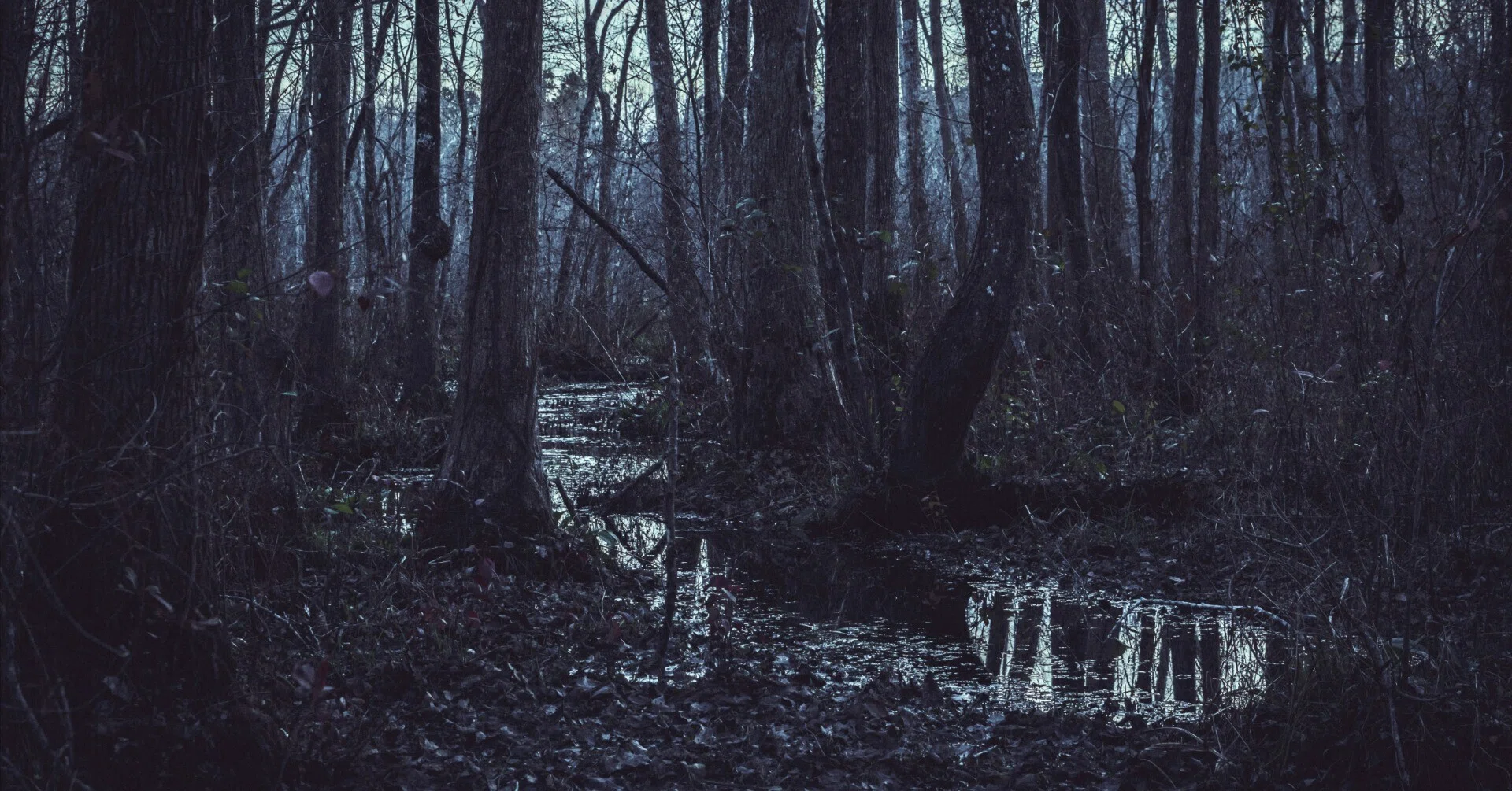 New Release] MORTAL DOWNER / DIR EN GREY (Part 1) — What I Saw in