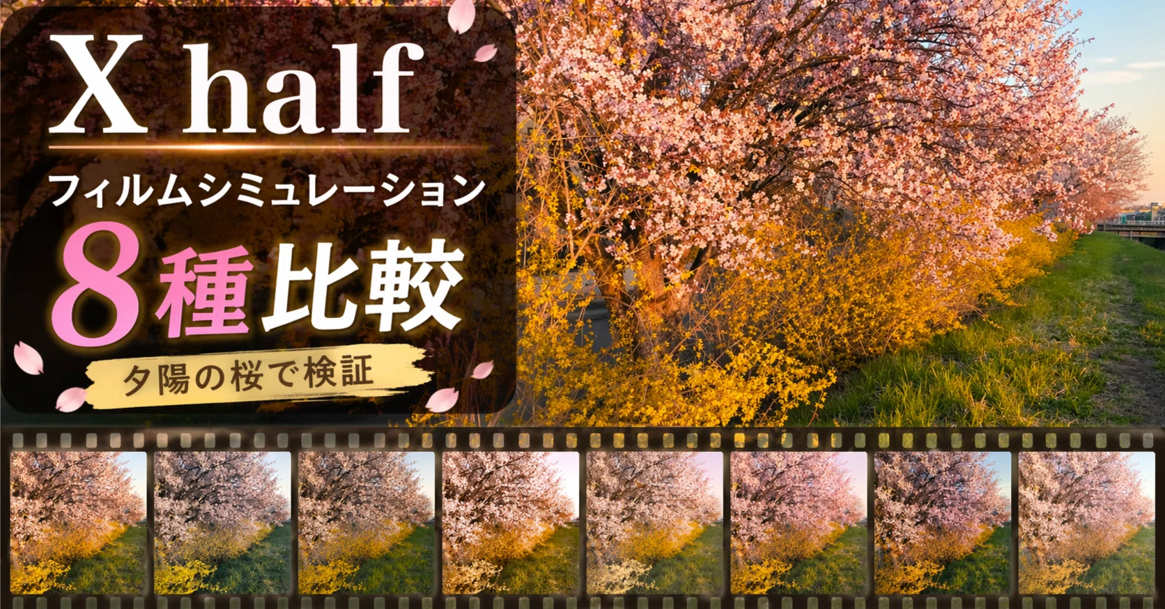 コンデジ】X halfレビュー〜フィルムシミュレーション8種類を撮り比べ