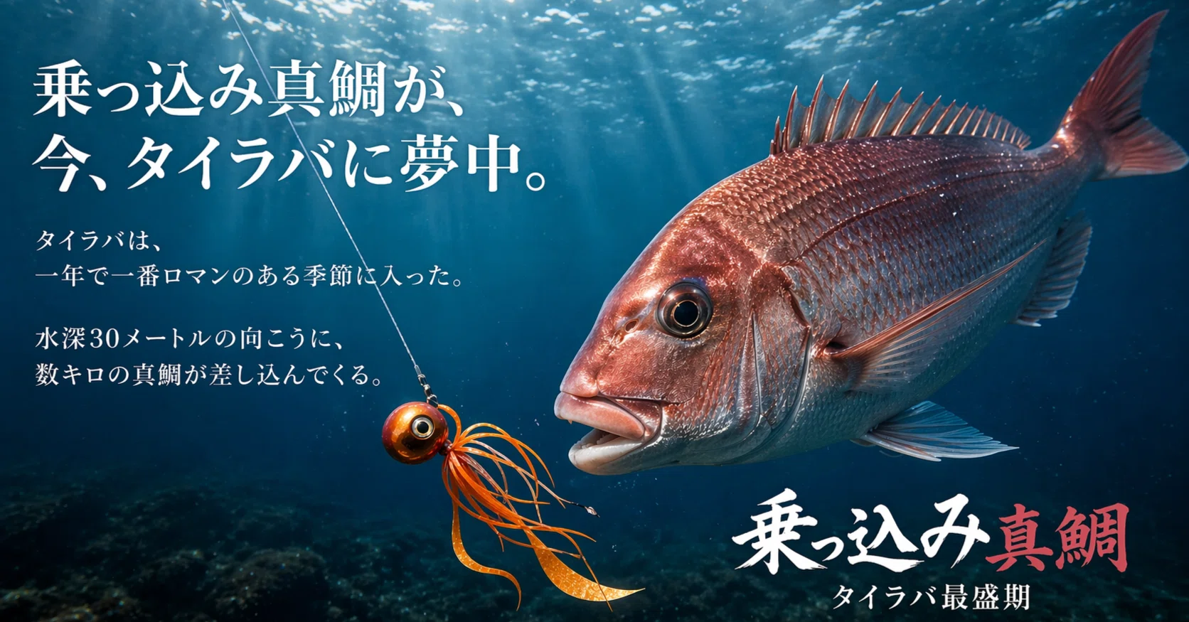 乗っ込み真鯛が、今、タイラバに夢中。｜FISHING EXTRA