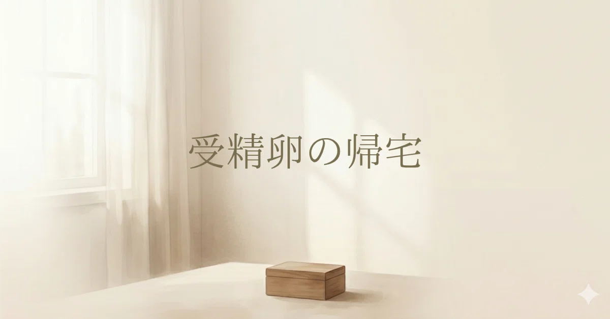 The Day I Brought My Embryos Home | Part 10｜陽（はる）｜不妊治療と戦った税理士