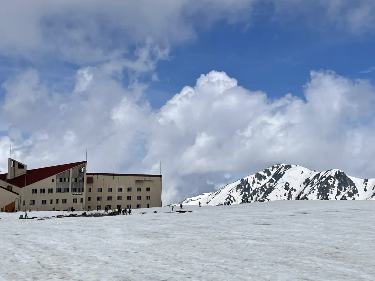 今しか見れない絶景✨立山黒部アルペンルートで雪の大谷と雷鳥に会いま