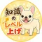 まさのり(知識のレベル上げch)