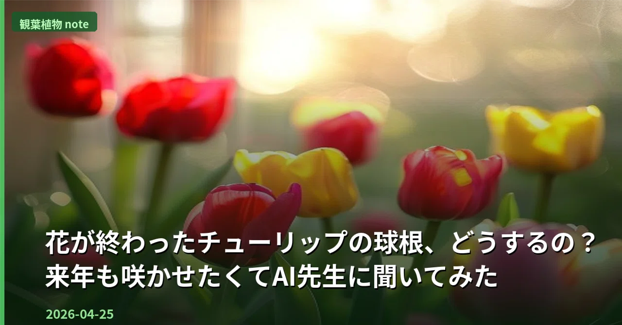 チューリップ 花 終わっ たら