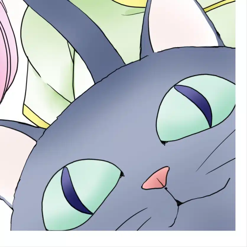 ちゃびすこ