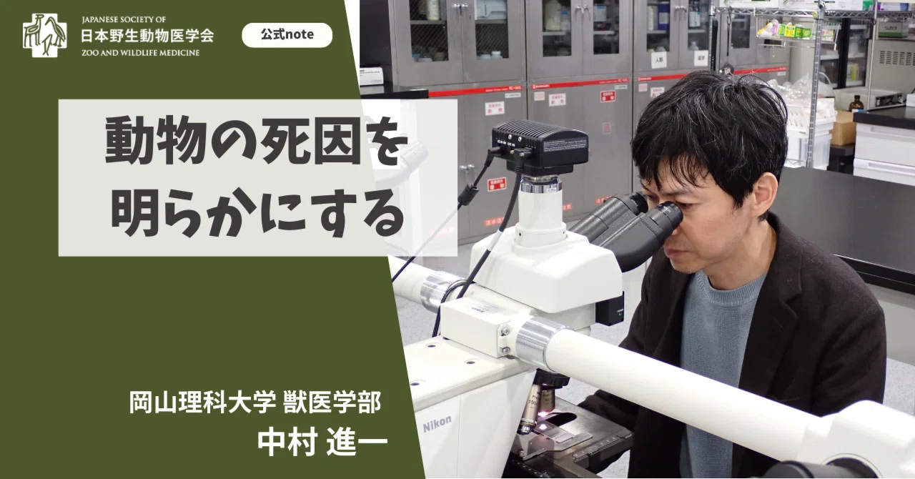 【中古】 標準医動物学 最新臨床検査学講座 医動物学 第2版 | 平山 謙二 |本 | 通販 | Amazon