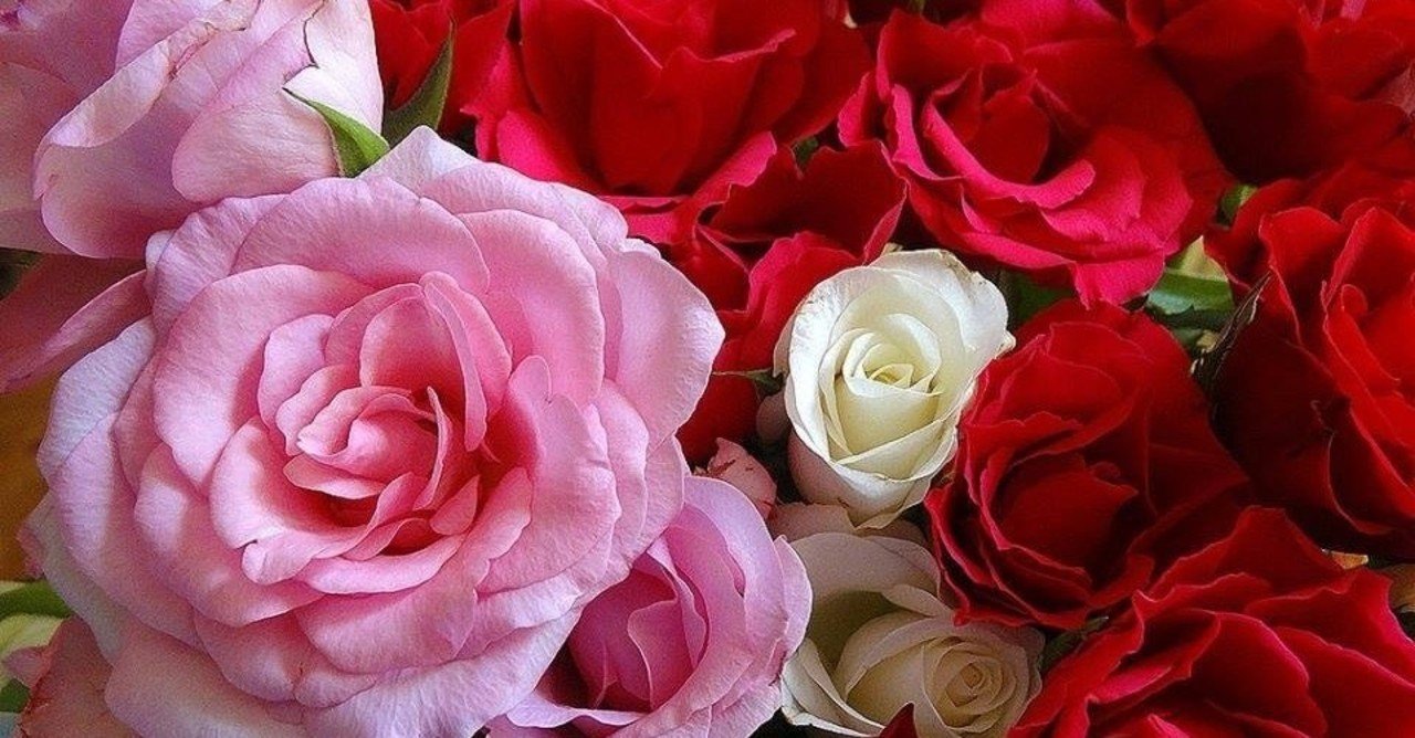 35歳以上の女性が結婚できる確率は2 に躍らされてみた 婚活子 済 Note