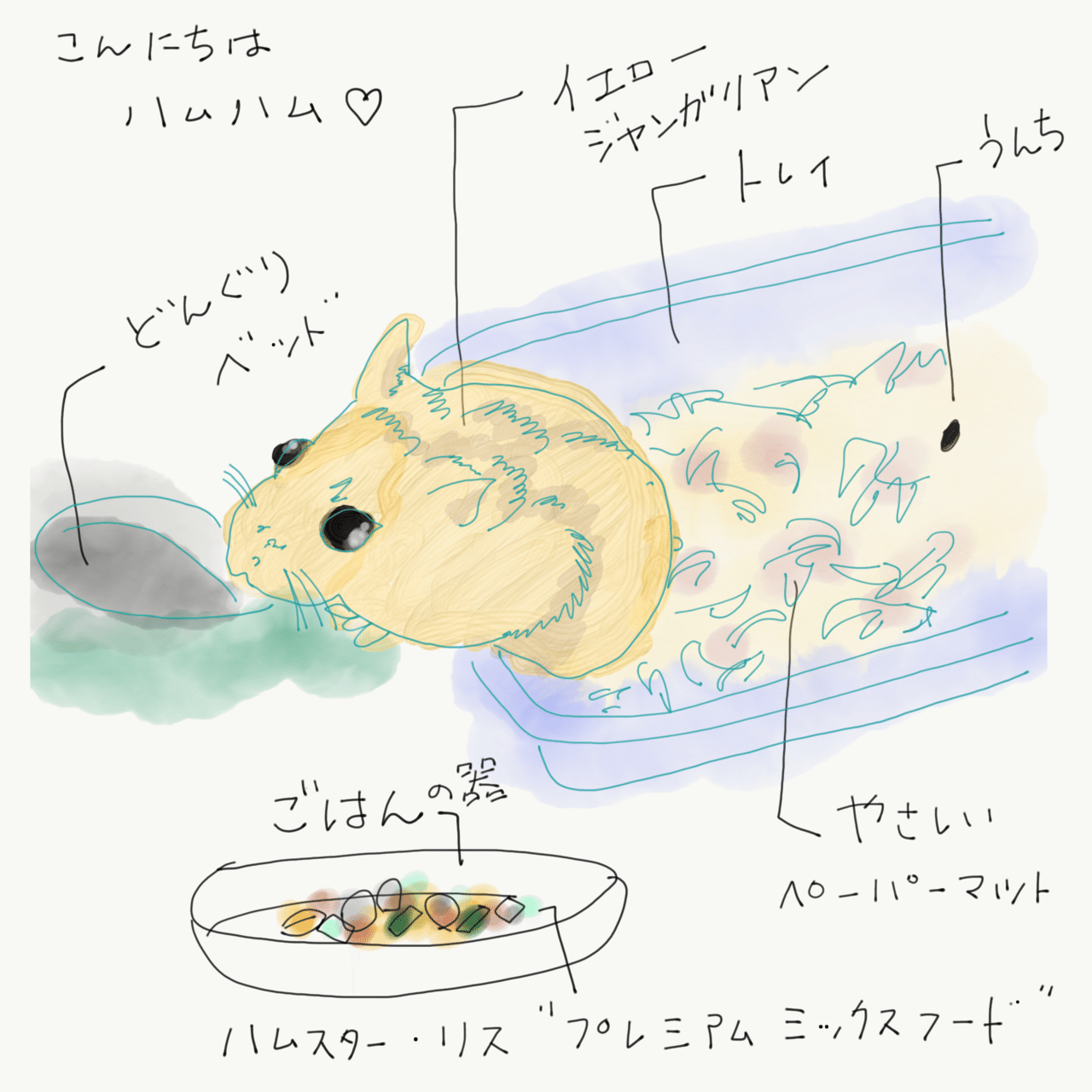 癒し ハムスターの飼う 初期費用と育て方 開運の達人びなっち 風水オルゴナイト研究家 Note 癒し ハムスターの飼う 初期費用と育て方 開運の達人びなっち 風水オルゴナイト研究家 Note