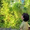 hima
