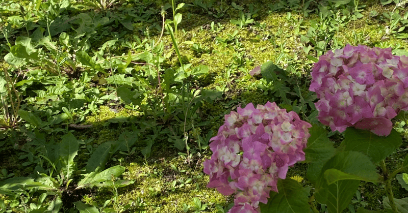 深呼吸してマイペース