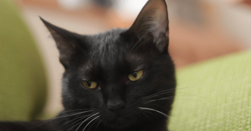 村田裕美 りた Note