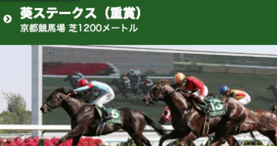 5 23 土 地方厳選 鉄板軸馬 1レース 最適軸馬 3レース 高知競馬 佐賀競馬 買い目公開 Jun Note