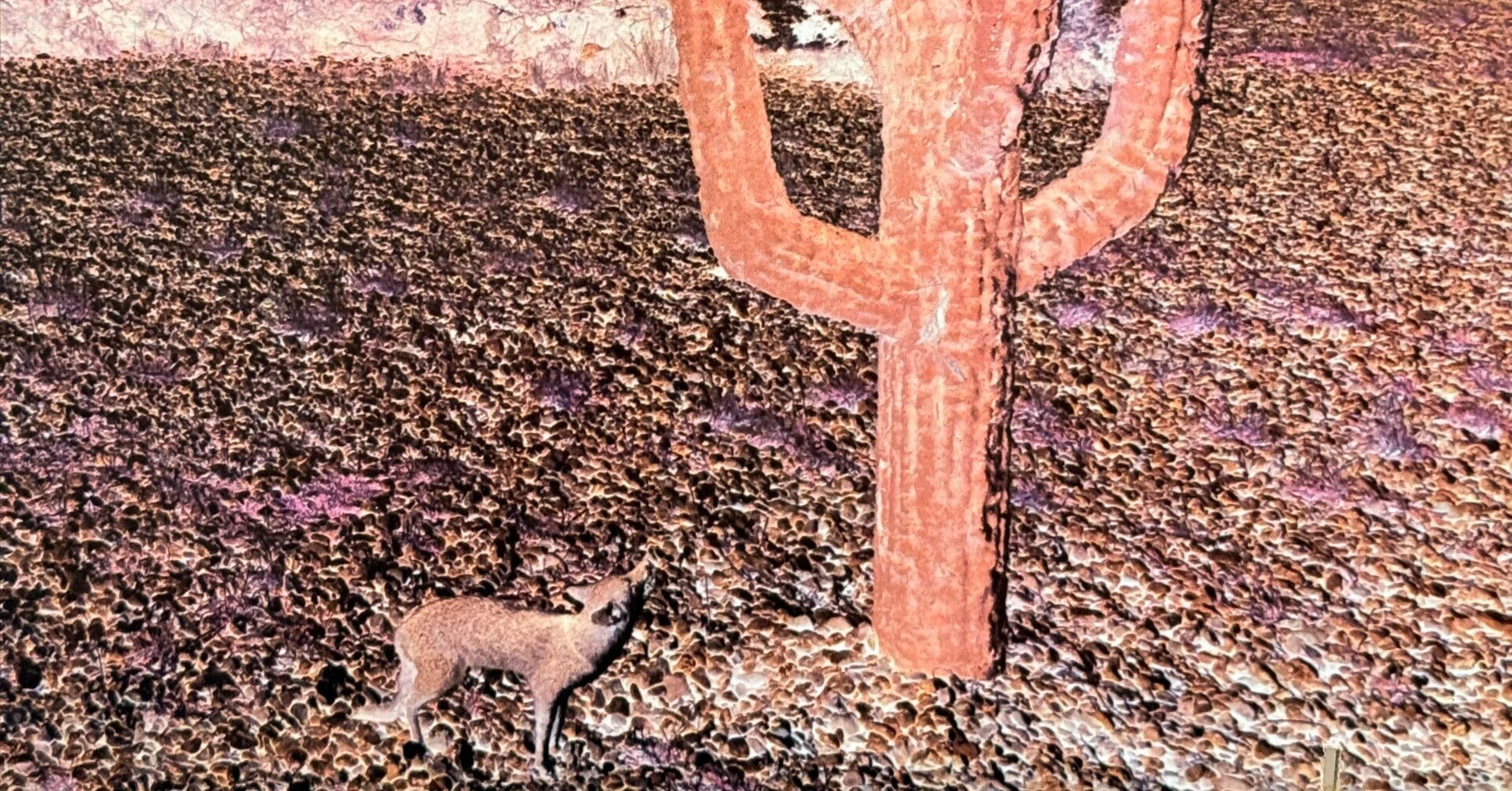 Indian Summer「Indian Summer」(NEON NE3) – 英国地下プログレッシブ 