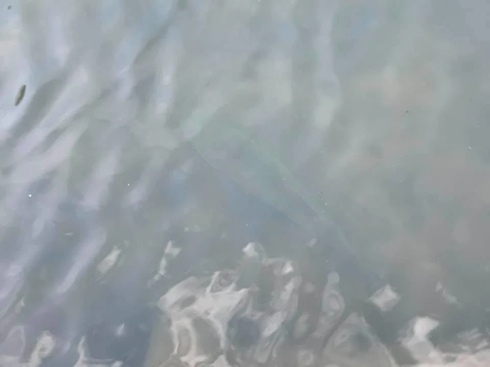 画像6
