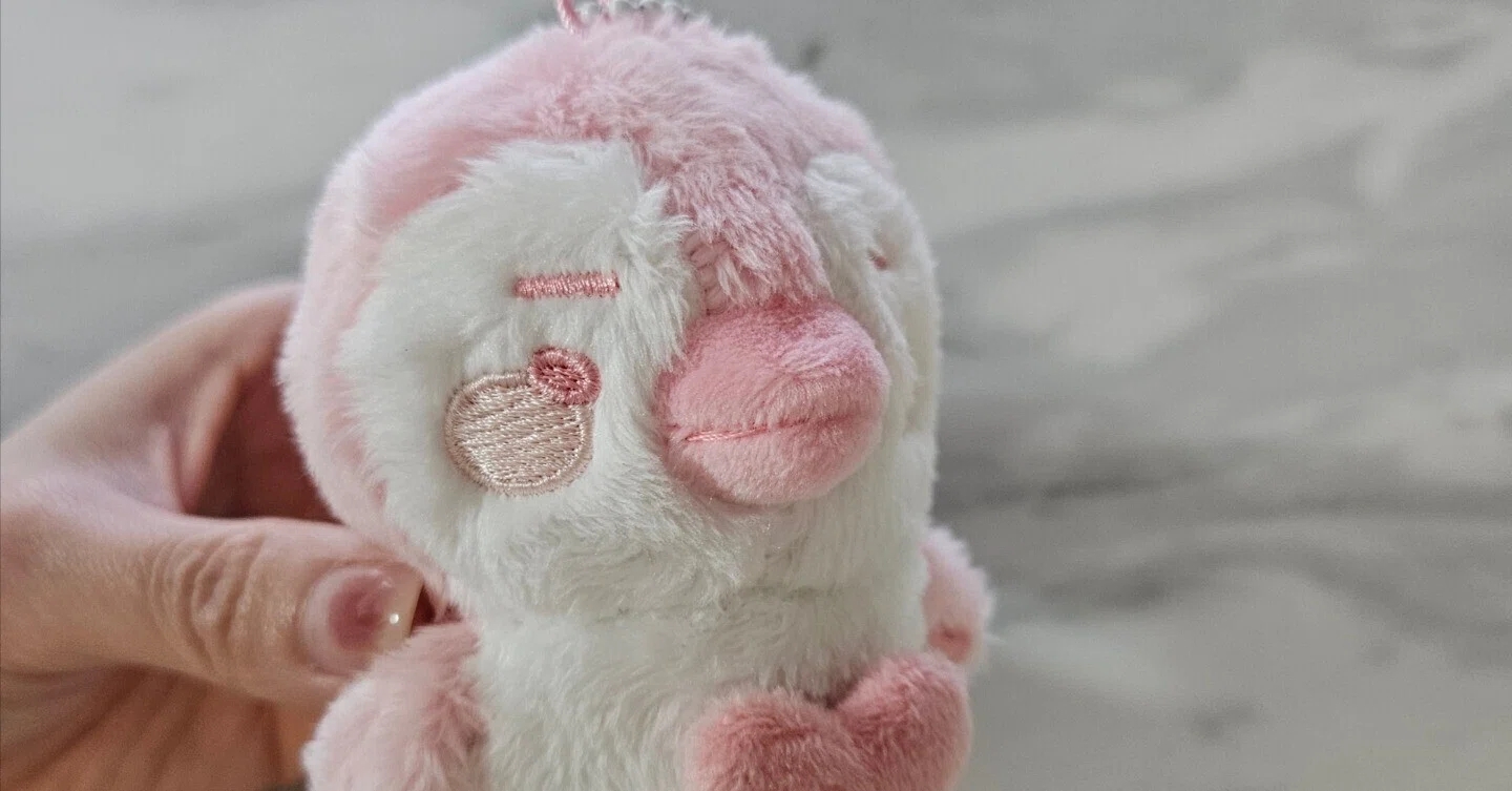 ピンクペンペンも無事到着🐧🩷️｜チャミ🐰韓ドラ好き💛JUNHOペン🐧