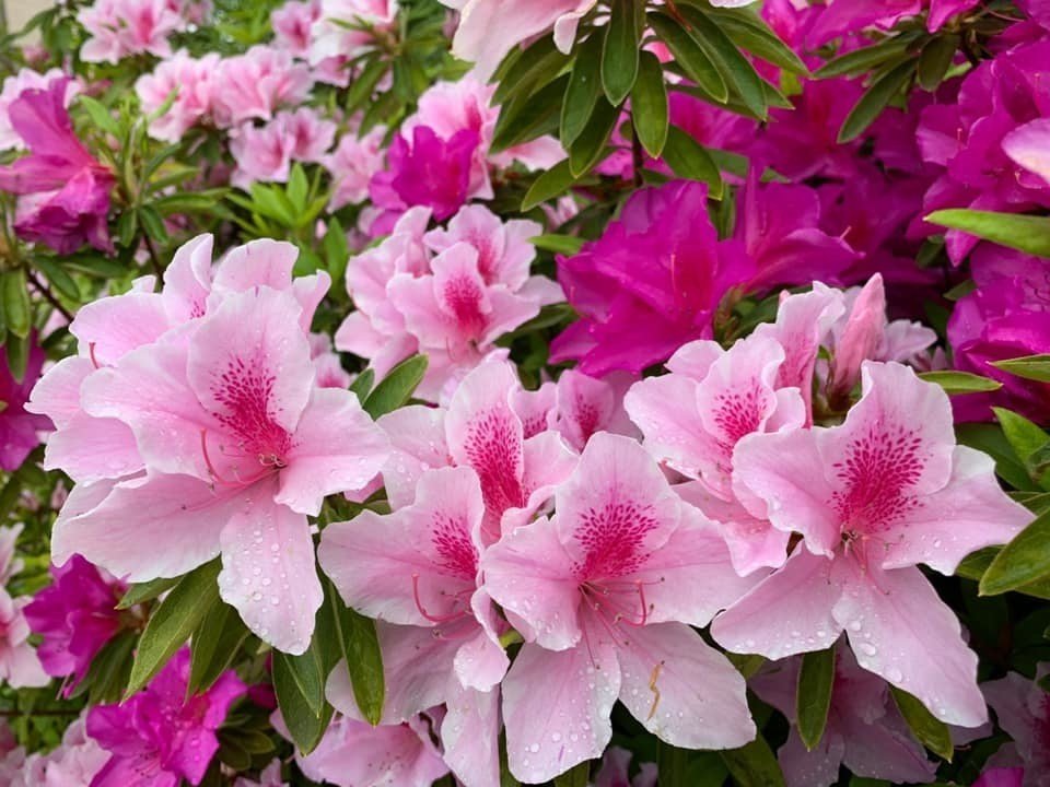 4 22 昼の散歩 A Day Walk 福博ツナグ文藝社 Note