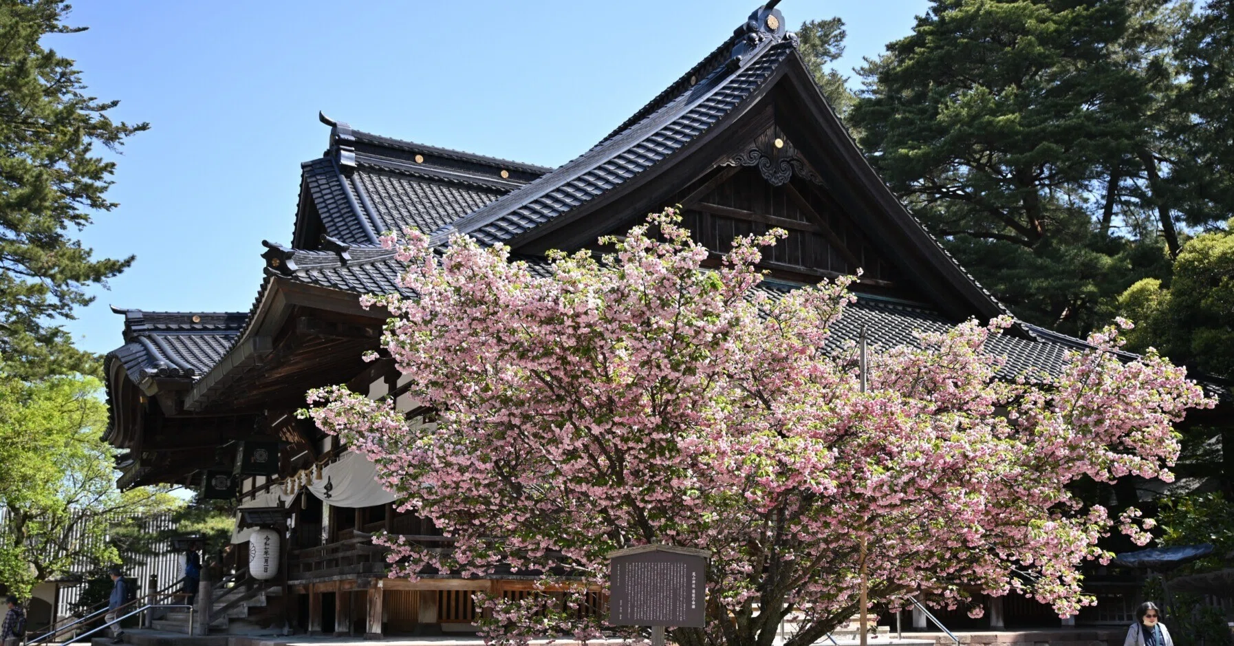 金沢で新緑カメラさんぽ＃1 －尾山神社－ Z5Ⅱ｜kenken