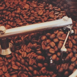 COFFEE POLITE(コーヒーポライト)