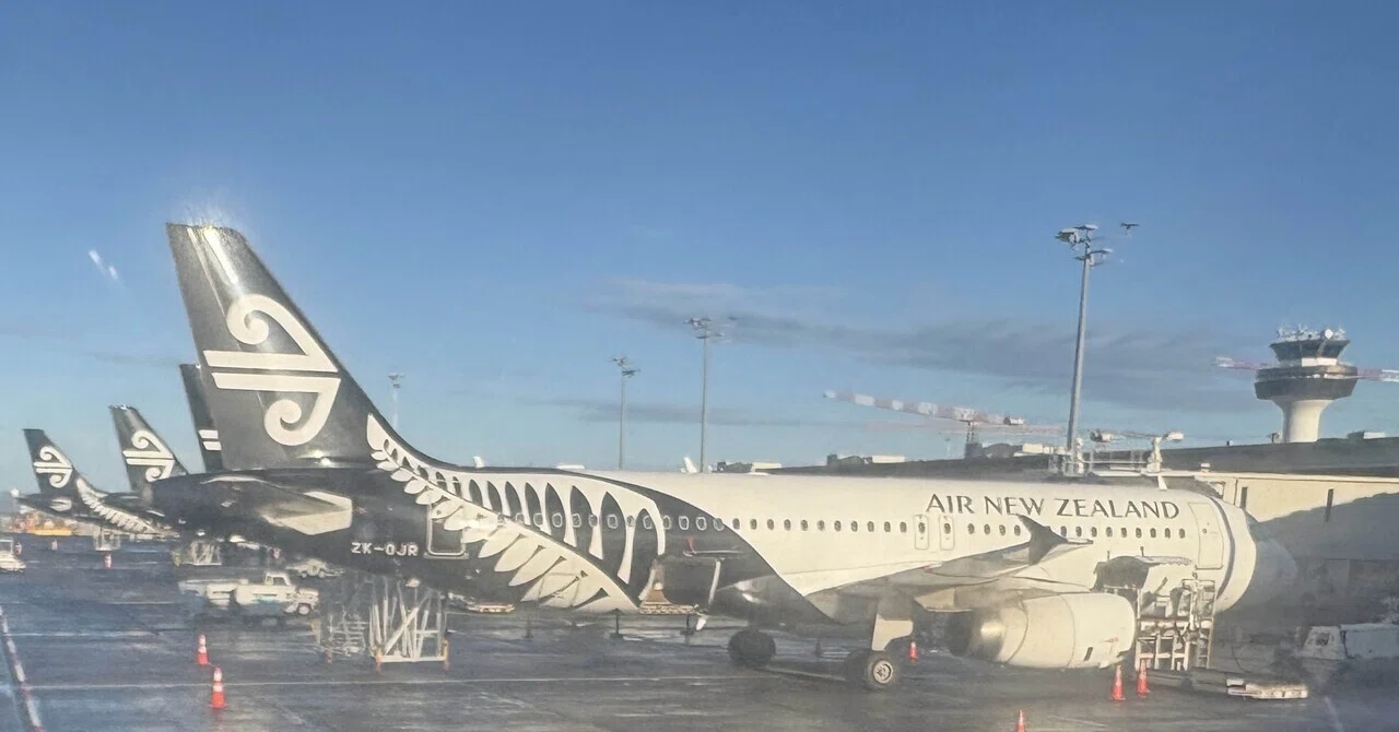 世界2周目④ 🇳🇿ニュージーランド航空 ここからNZ AIR4連チャン｜oka