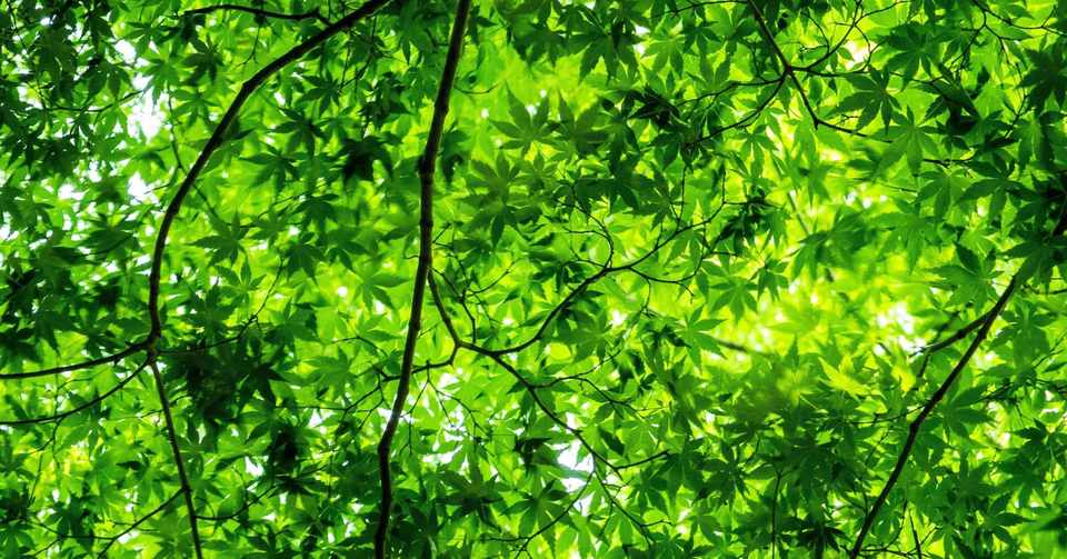 東山魁夷と作品タイトル Yuko Note