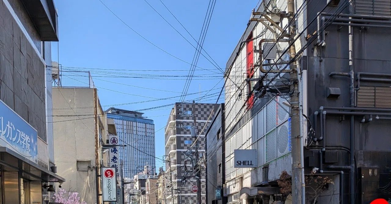 お風呂日和な天気やな☀️｜ゴジラ