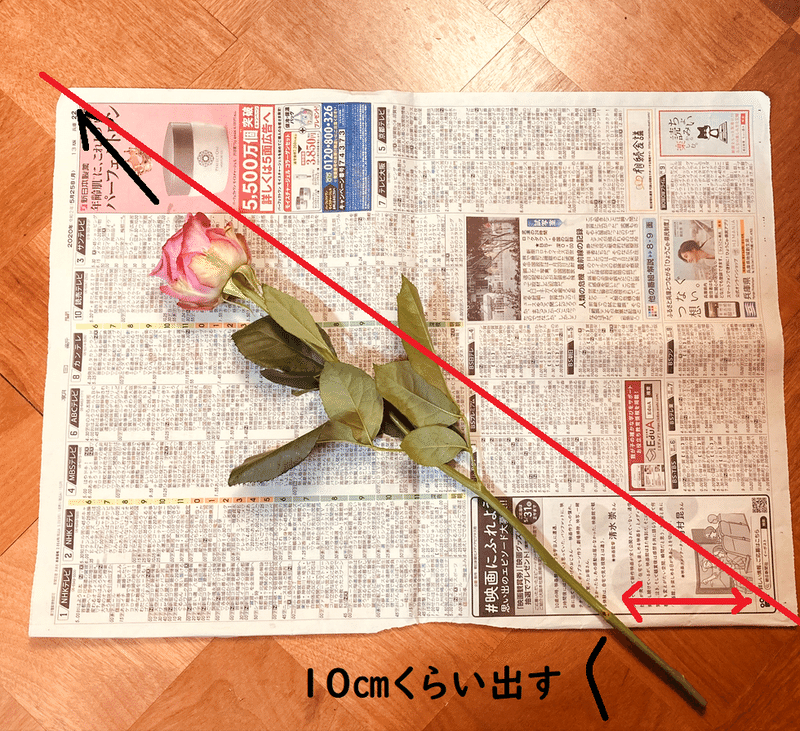 お花の 水揚げ のお話 とっ子ちゃん Note お花の 水揚げ のお話 とっ子ちゃん Note