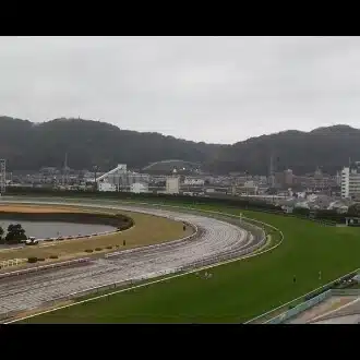との競馬
