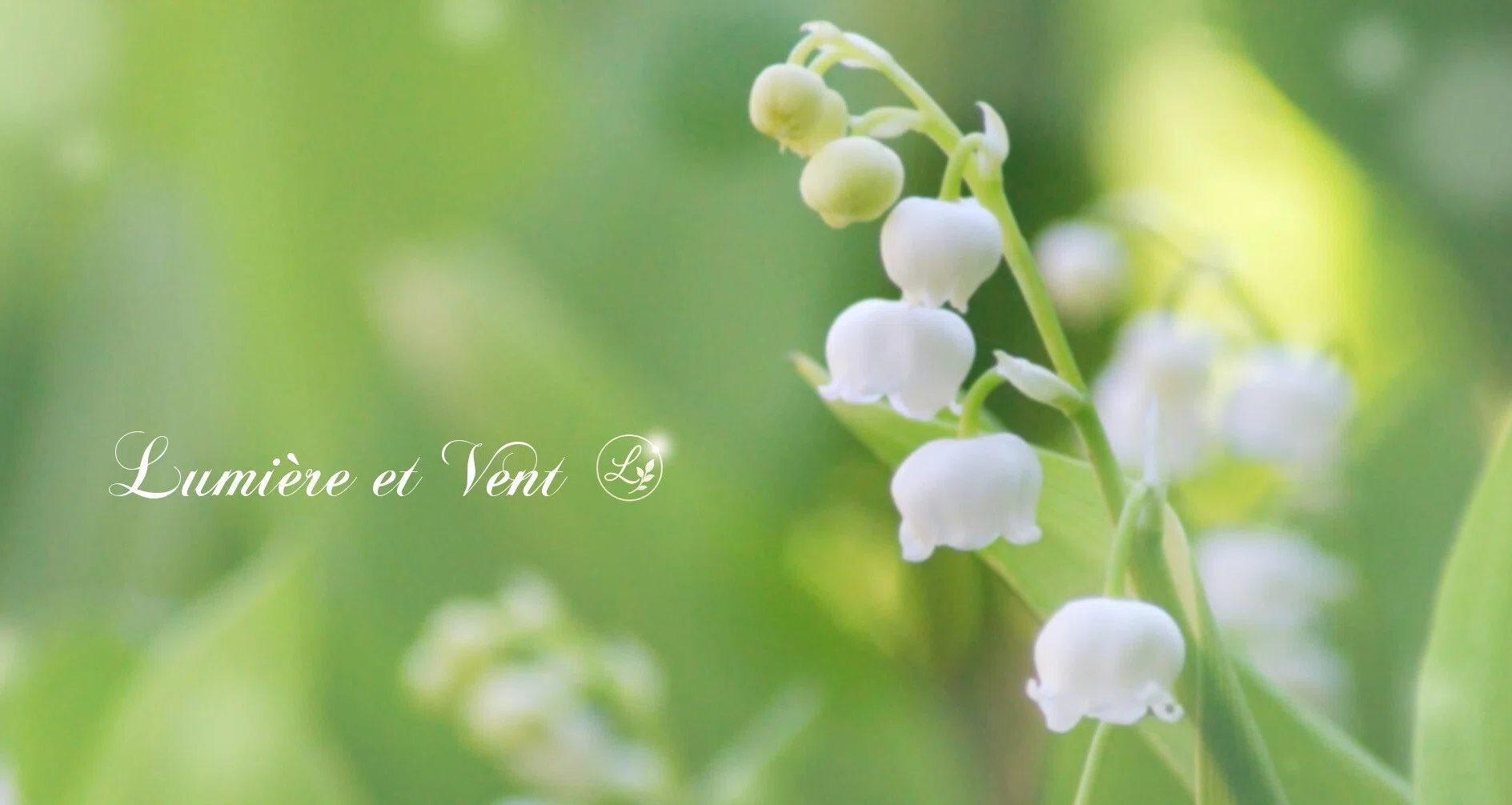 Ⅰ．憧恋｜花陽 ✧ 光と風の丘へ｜note