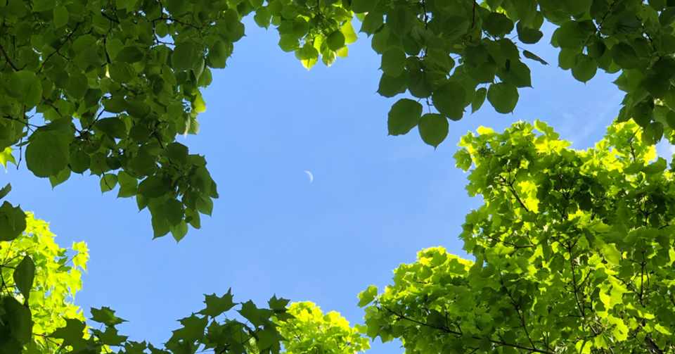 愛してよろしいですか Lino Ishizu Note