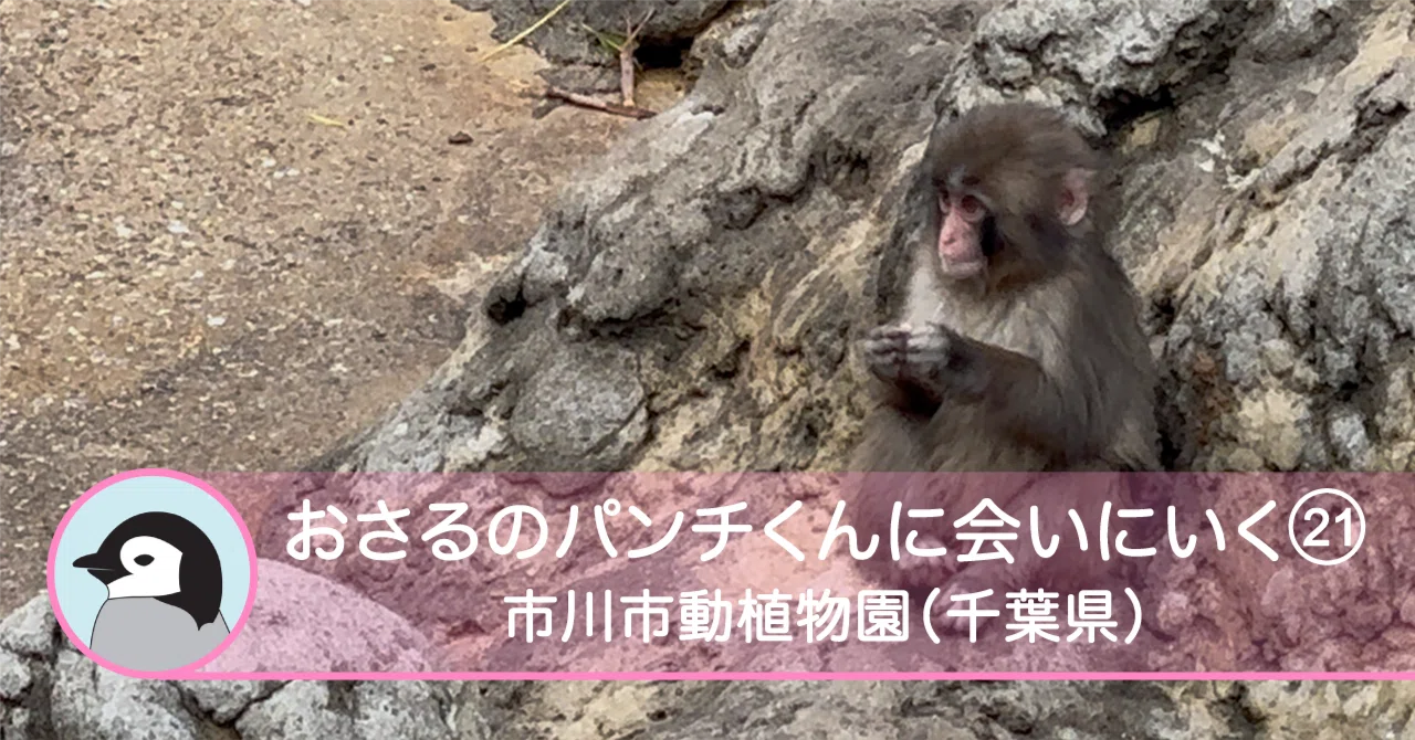 おさるのパンチくんに会いにいく21-市川市動植物園（千葉県）｜Solo