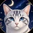 青猫