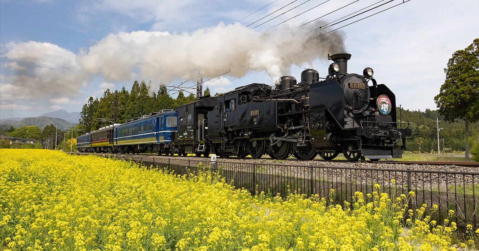 v270, 東武鉄道：菜の花とSL （2026年）｜ひろやん