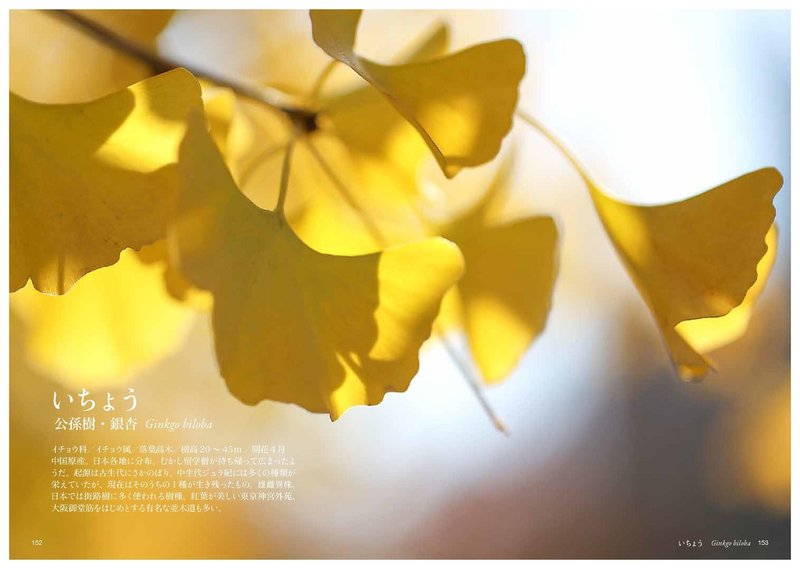 長寿 Taku Note