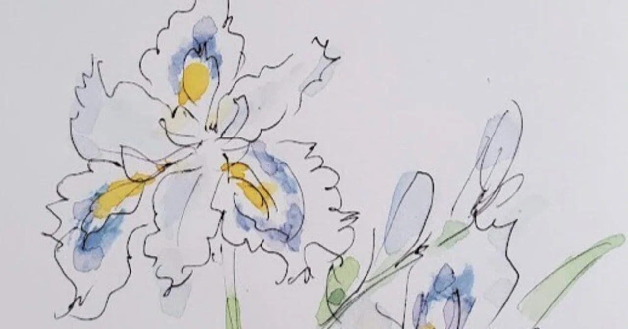 花の装飾デザイン画 作品集「Classic flower」ジャコモ・バルザッギ画 アルフォンス・ミュシャ 限定復刻版画「四つの花」 | | アトリエ・ブランカ