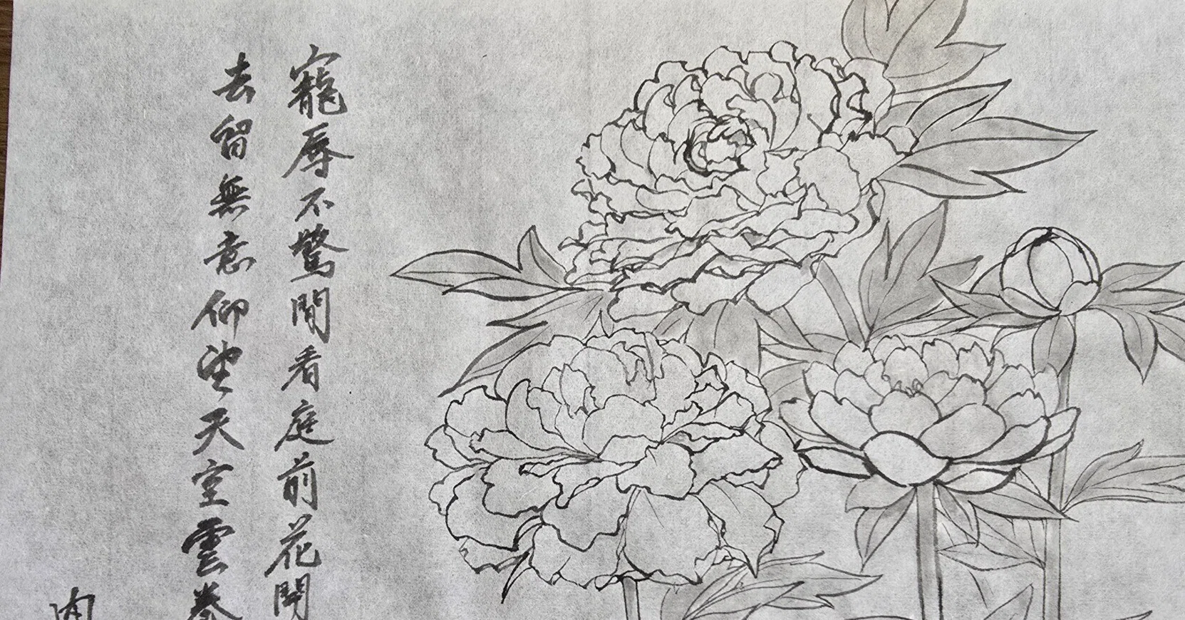 【お値引き不可】芍薬の絵 牡丹と芍薬の絵を描き描き｜内藤@ふらりと中国行く人