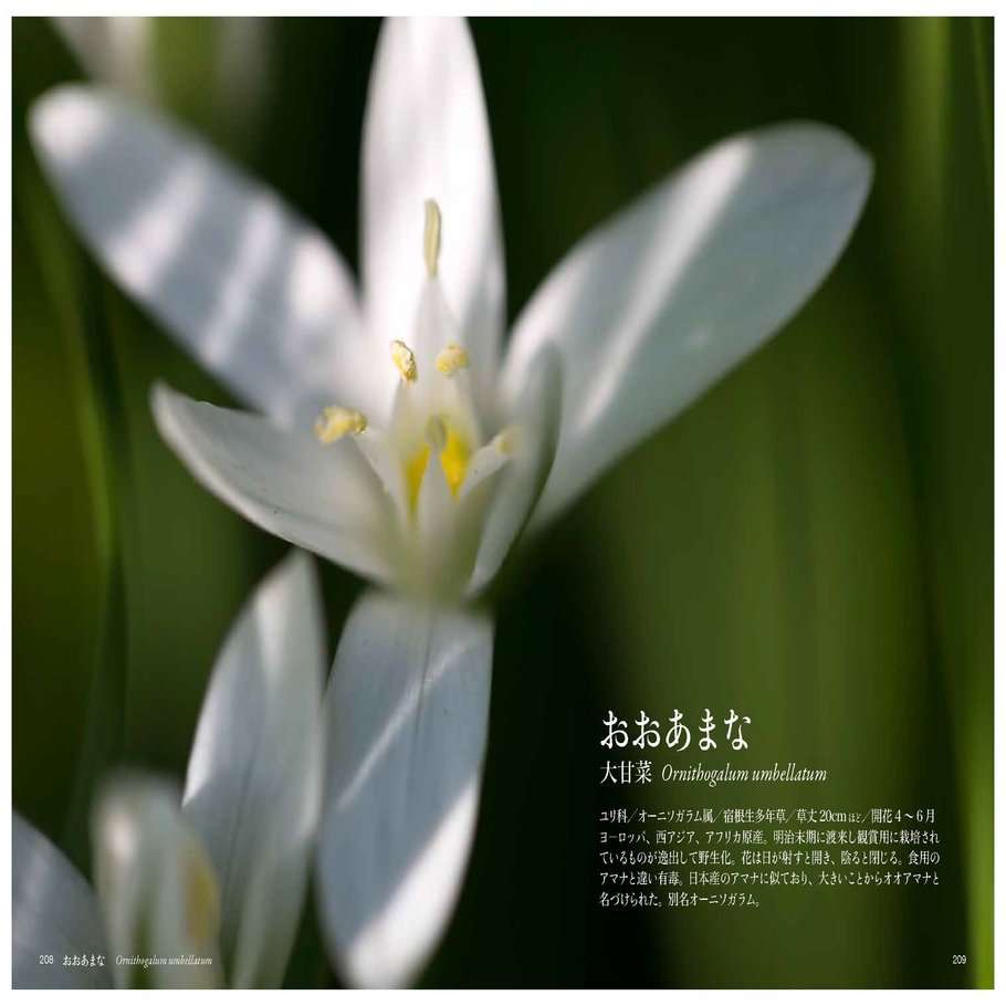 お の花 Taku Note